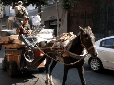 [mexico] Pralka, lodówka….zmywarka! Lavadora!