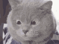 [turcja] problem yok – czyli turecka mantra szczęśliwego człowieka