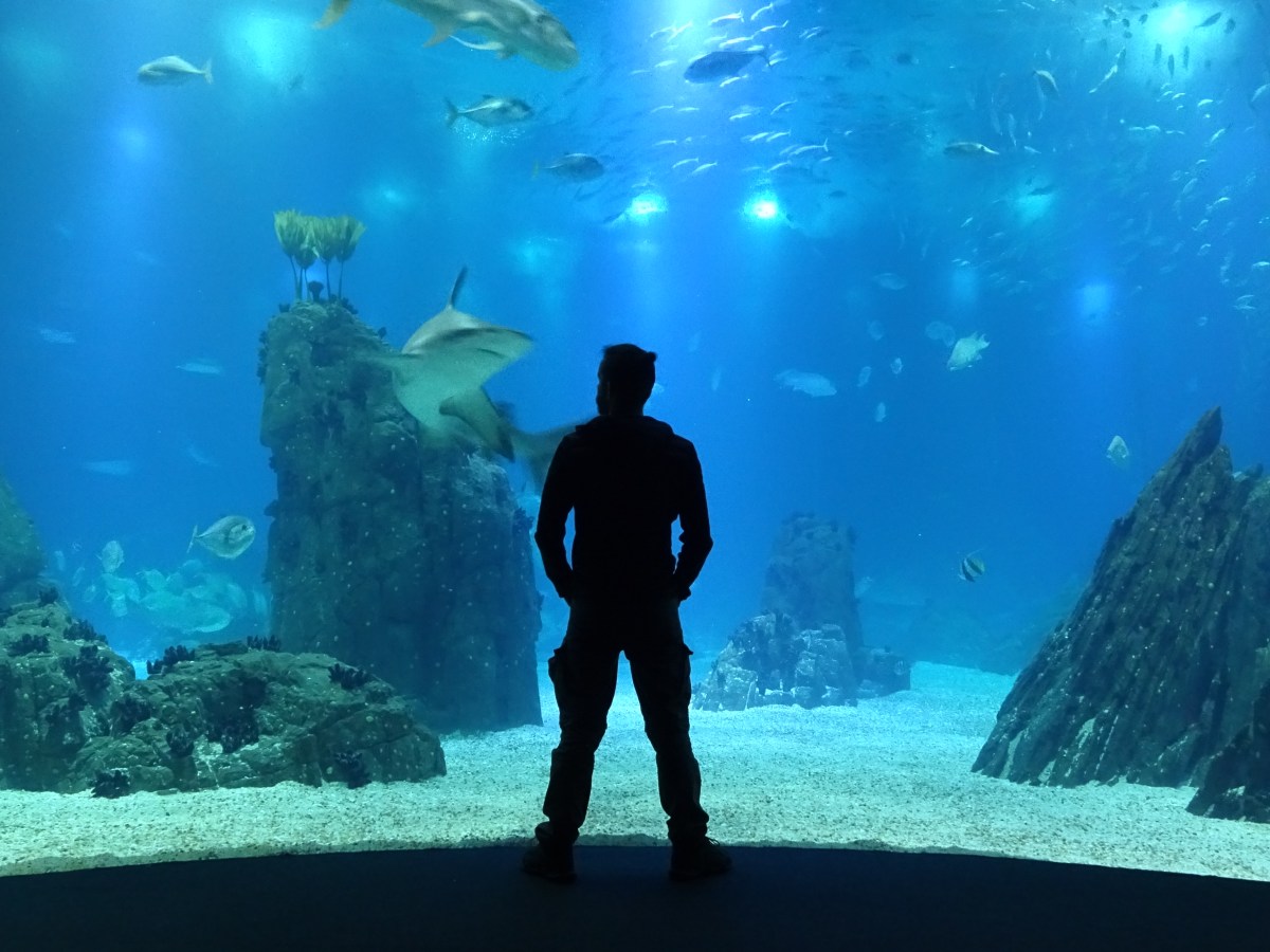 [eurotrip] Lizbona w deszczowy dzień