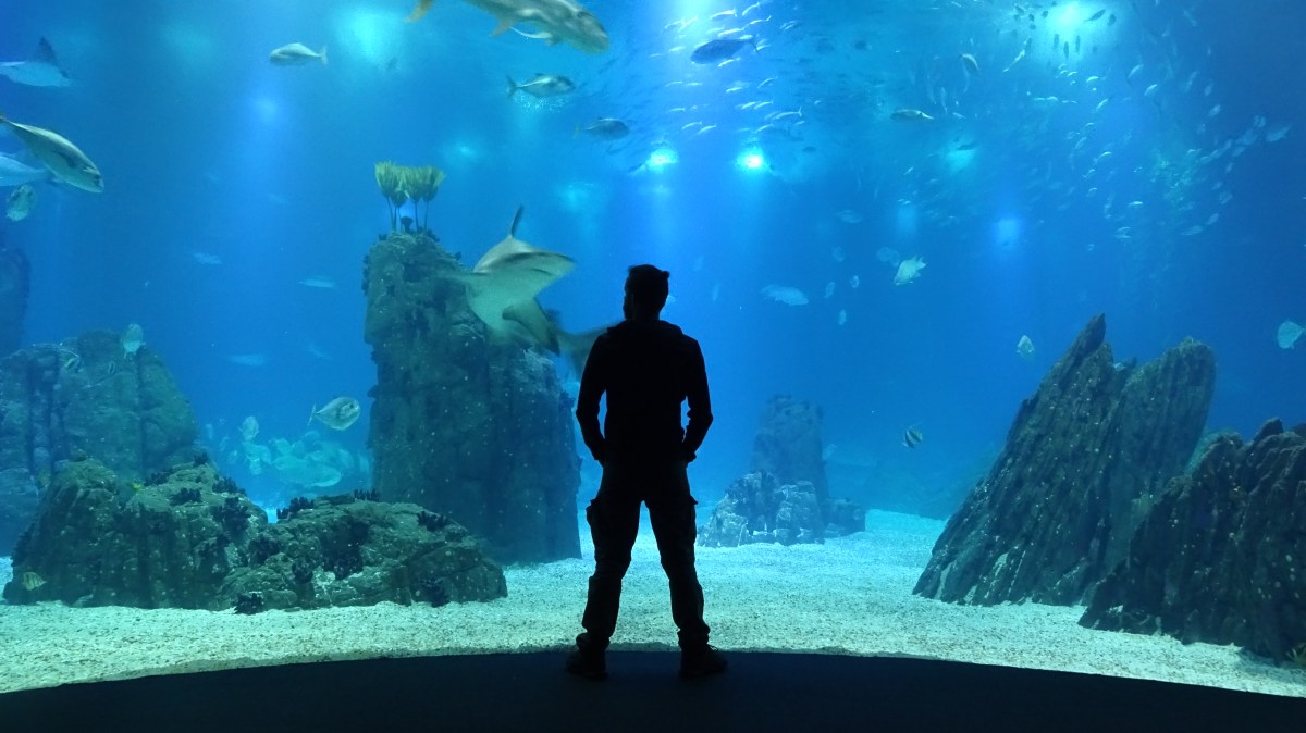 [eurotrip] Lizbona w deszczowy dzień